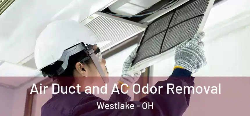 Air Duct and AC Odor Removal Westlake - OH