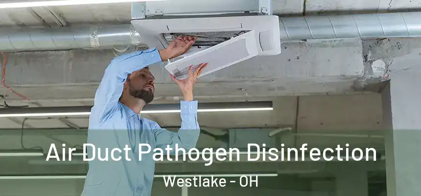 Air Duct Pathogen Disinfection Westlake - OH
