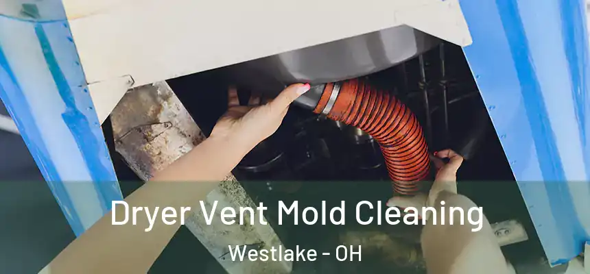  Dryer Vent Mold Cleaning Westlake - OH
