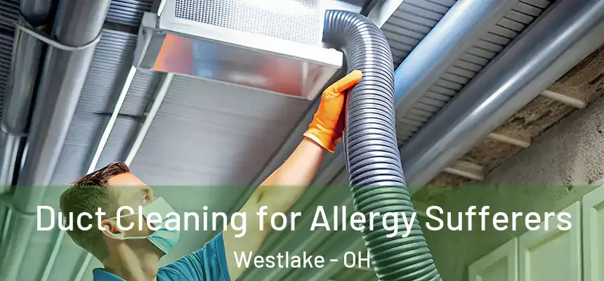 Duct Cleaning for Allergy Sufferers Westlake - OH