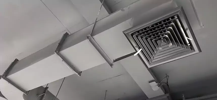 Restorative Allergy Relief Vent Cleaning – Coil, Blower & Housing Detail in Westlake