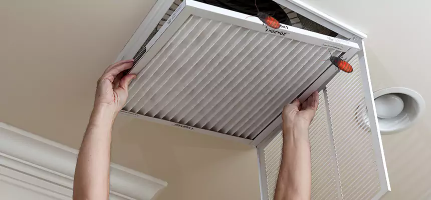 Our Insect Removal from Air Ducts Services in Westlake, OH