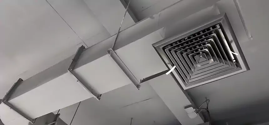 Our Pest Removal From Ducts Services in Westlake, OH