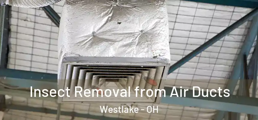 Insect Removal from Air Ducts Westlake - OH