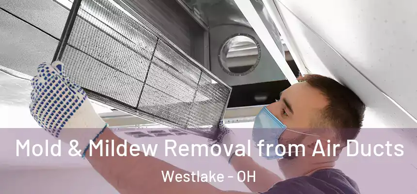 Mold & Mildew Removal from Air Ducts Westlake - OH