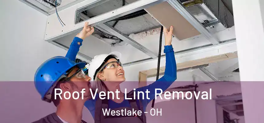 Roof Vent Lint Removal Westlake - OH