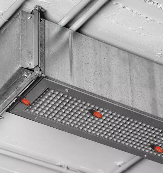 Affordable Insect Removal from Air Ducts in Westlake, OH