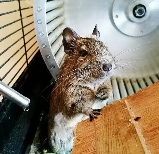 Why Homeowners & Businesses Trust Us Westlake, OH